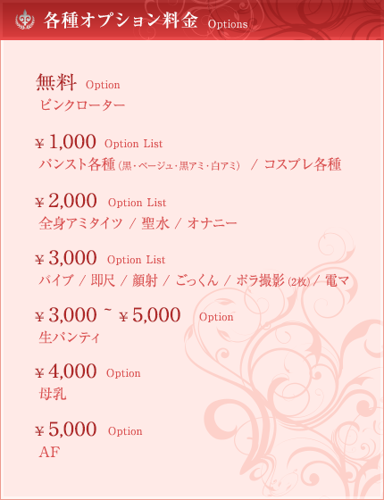 各種オプション料金表